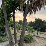 빌라 La Terrazza Sul Mare Di - Location Fra Palermo E Cefalu 트라비아