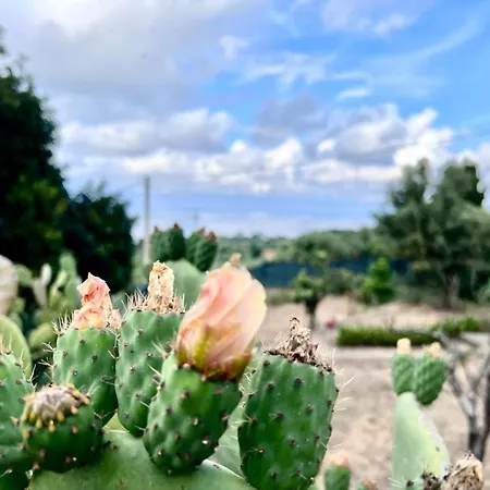 La Terrazza Sul Mare Di Vila *
